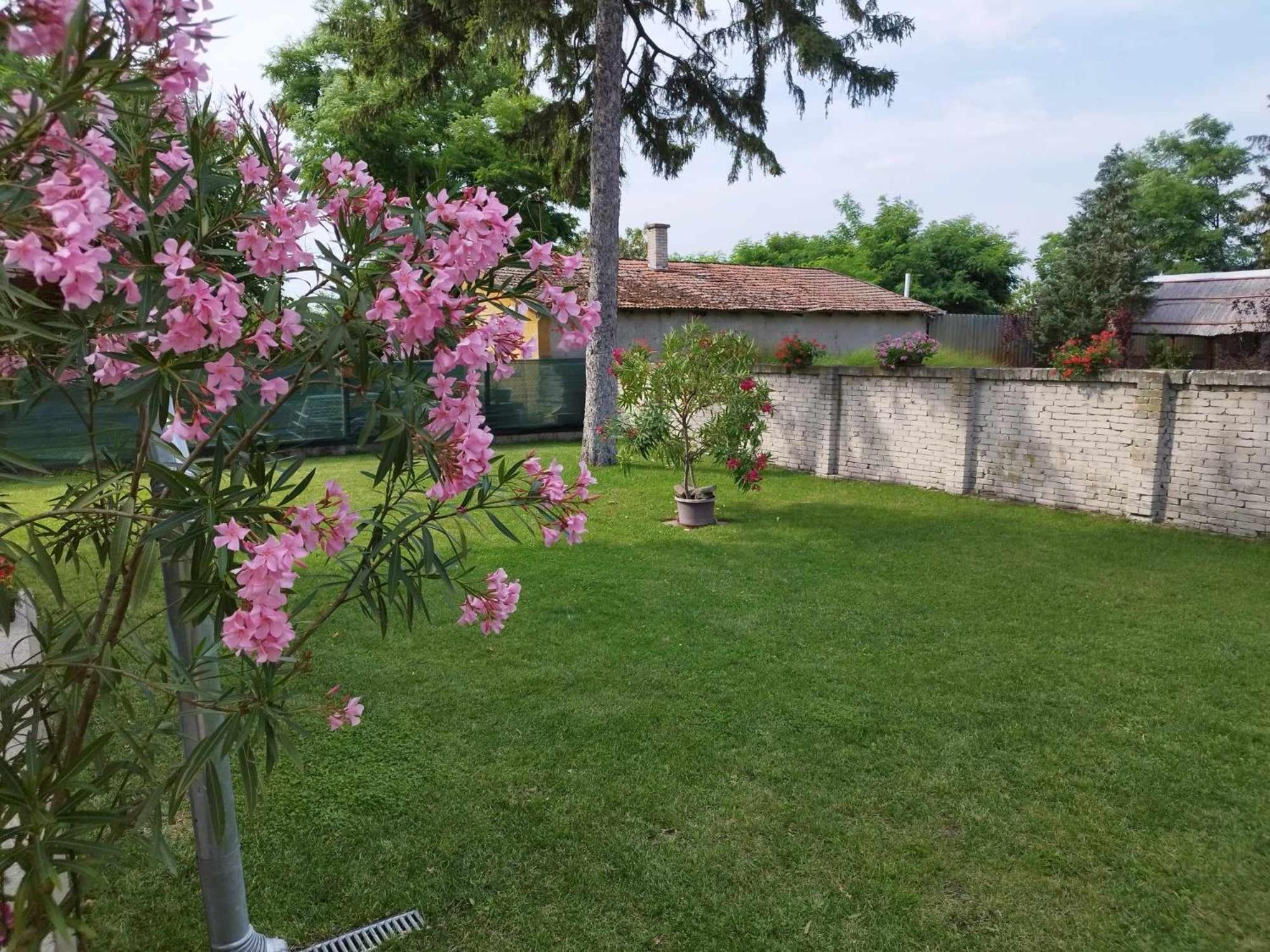 Tartos Szegfu Vendeghaz, Maganszallas Tazlar Екстер'єр фото